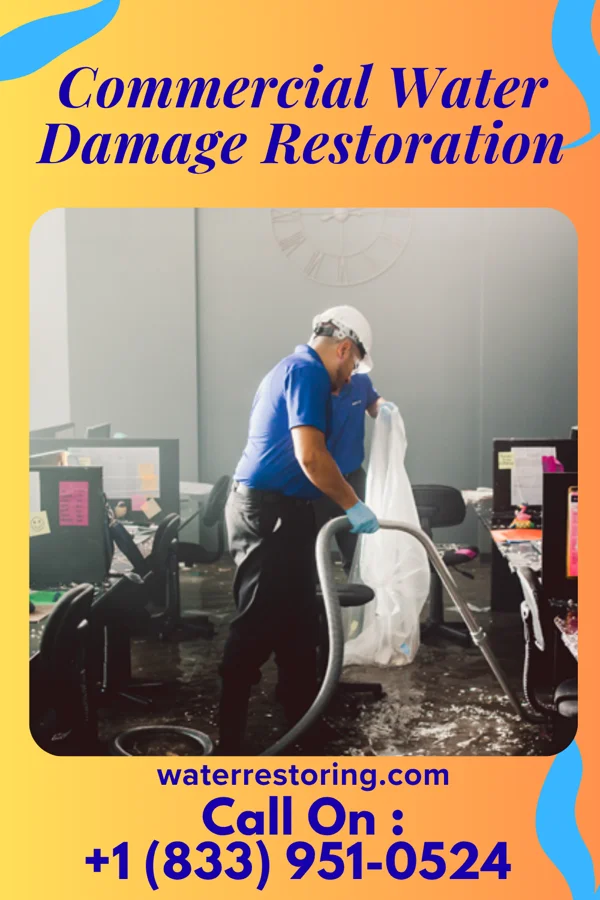 Commercial Water Damage Restoration in Alpena, SD